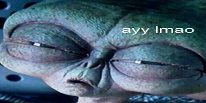 Vaiels avatar