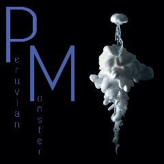 PM_ avatar