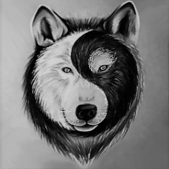 Faceit avatar