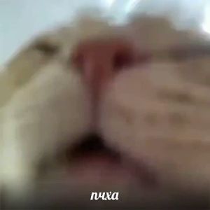 OneCore_YT