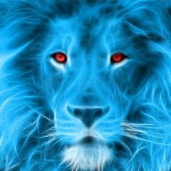 Tourquoise avatar