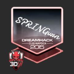 Player Springvrn avatar