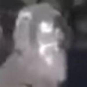 maekii avatar