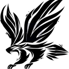 Hawk_7069