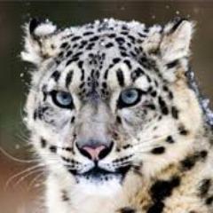 BuRSick_ avatar