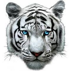 FiT_Tom