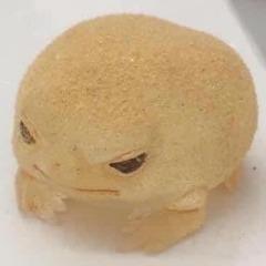 Boncicha