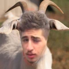 Player ZA20 avatar