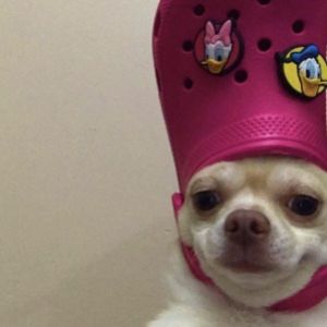 St_Petryshka