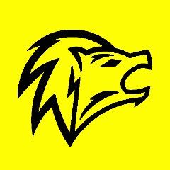 Player Skyhunters avatar