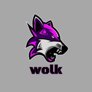 WOLKTOMSKIY avatar