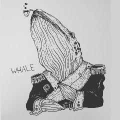 Kniwes avatar