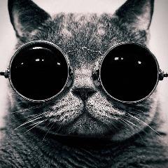 Mr_PreS avatar