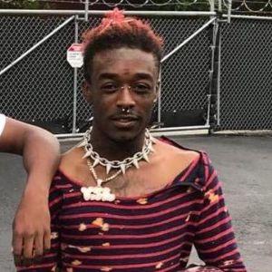 SEALiZ avatar