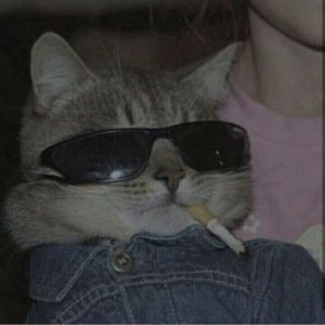 Faceit profile picture for @challenging