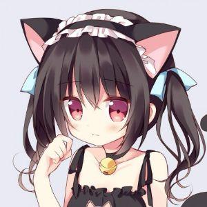 shepa1233 avatar