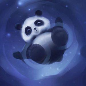 First team's avatar
