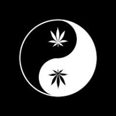 __-Relax-__ avatar