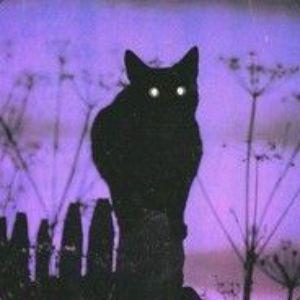 Player krejz avatar
