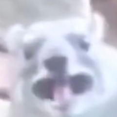VaCuUmXDzizi
