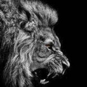 Bloodfearr avatar
