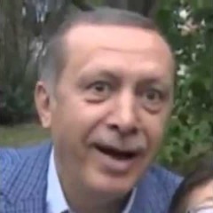 papiLLonn