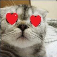 Meoowww avatar