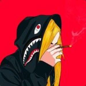 LinkedF avatar