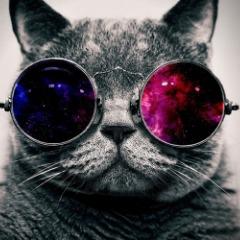 Darkhanz avatar