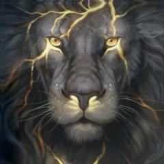aiqju avatar