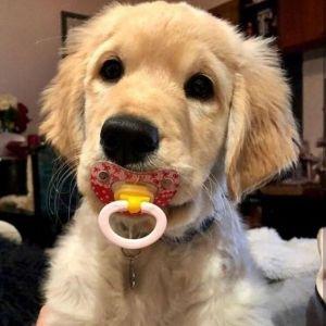 kody-s avatar