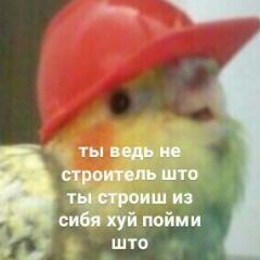 POPUHAICHIK