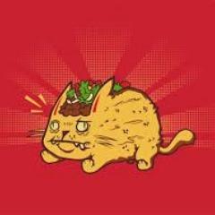 MistaTACO avatar