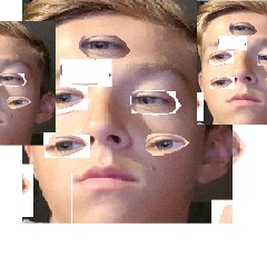 flisenficker