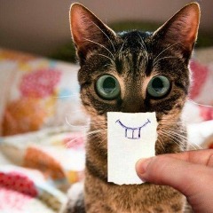 PanYkWTF