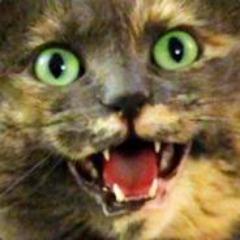 jack0zero avatar