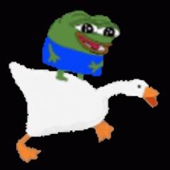 bobo69pl