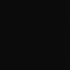 Robertovsky_