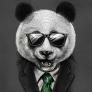 InternetV6 avatar