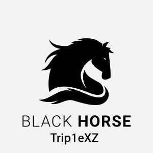 Trip1eXZ avatar