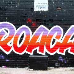 TrRoach