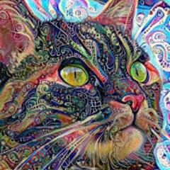 ss123456 avatar