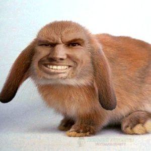 ProReFleeX avatar