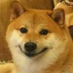 TheRealKun avatar