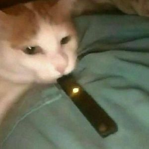 Jonathanjgf