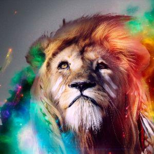 drewduc avatar