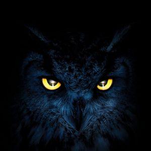 technicOWL
