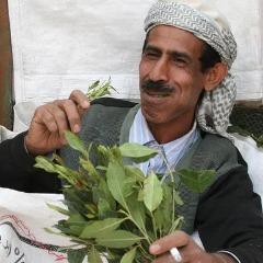 Hasheeshh avatar