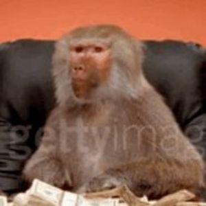 tIltedvv avatar