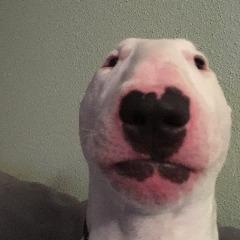I_AM_GAMER avatar